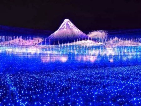 名古屋-名花之里