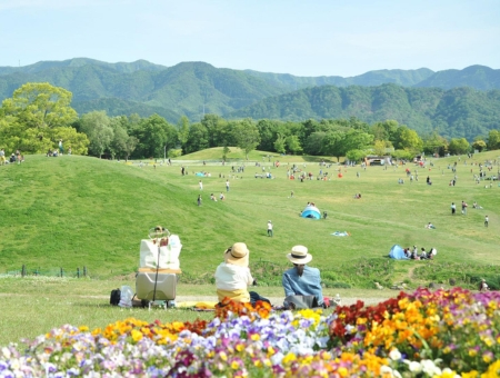 (台中星宇)櫻戀四國高松~花海絕景纜車x保證入住一晚小豆島x美食溫泉五日