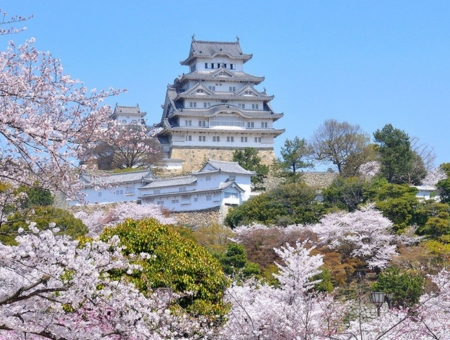 (台中星宇)神戶櫻花物語 絕景姬路城×清水寺×水上巴士纜車×螃蟹國產牛名勝5日