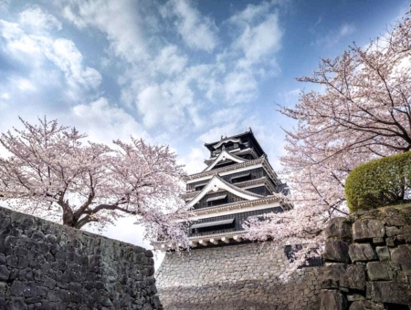 (星宇)熊本賞櫻百選~海之中道櫻花廊x季節採草莓x三大蟹溫泉五日