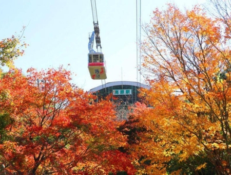 (星宇)九州福岡紅葉楓旅×纜車遊船×三大蟹溫泉精選5日