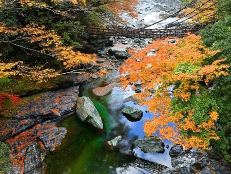 (台中星宇) 四國紅葉漫遊・道後溫泉×小豆島祕境米其林景點5日