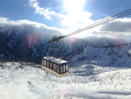 (台中星宇)2026東京立山黑部動感雪牆+粉蝶紫藤富士芝櫻六日