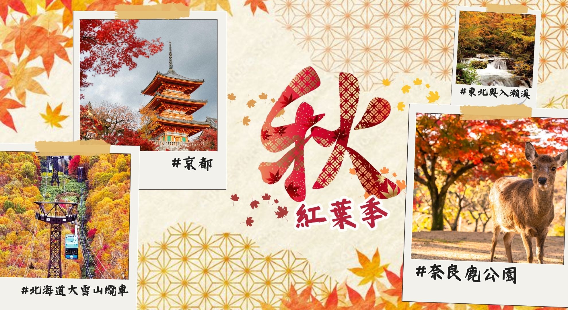紅葉季